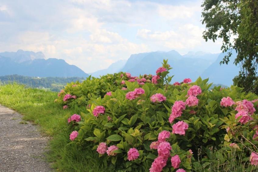 mit Blick auf die Berge - foto 40