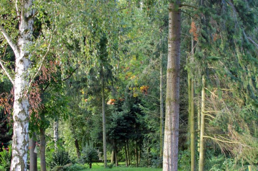 Gästehaus Kühne - foto 14