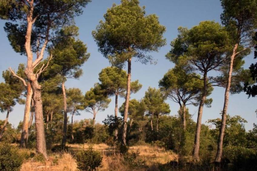 La Ribelle en Provence - Lou recati - foto 15