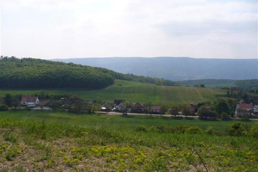 Ferienvilla mit Terrasse, Grill und Garten - foto 9