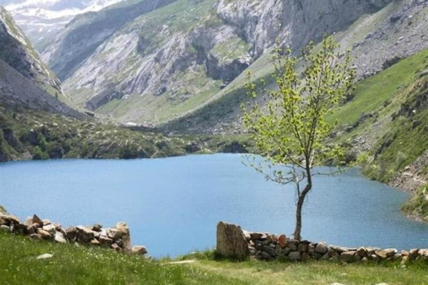 Résidence Rioulet - foto 22