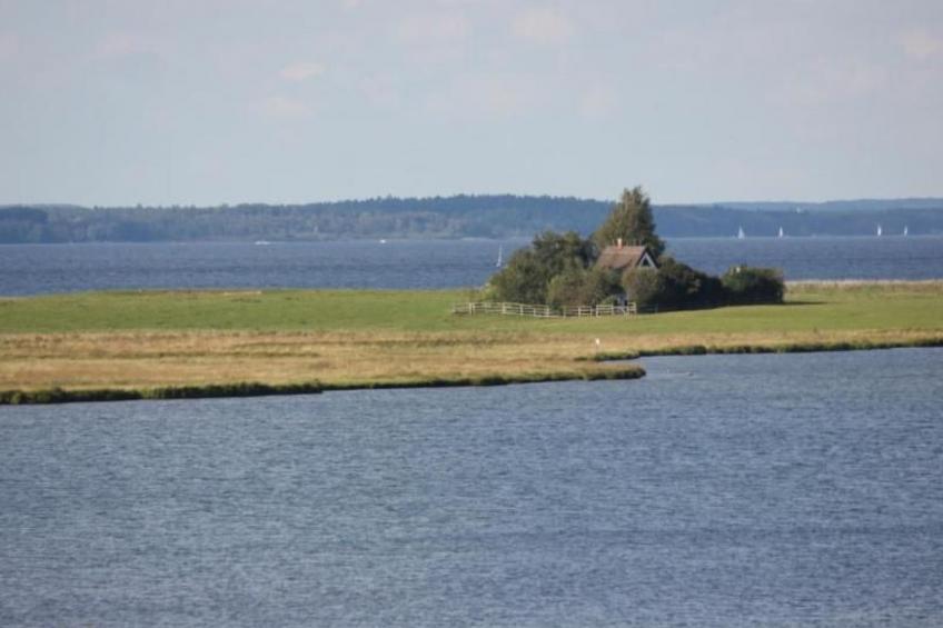 Mueritzbrise 3 mit Terrasse free WiFi - foto 16