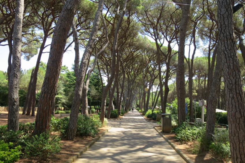 La casetta immersa nel verde - foto 52