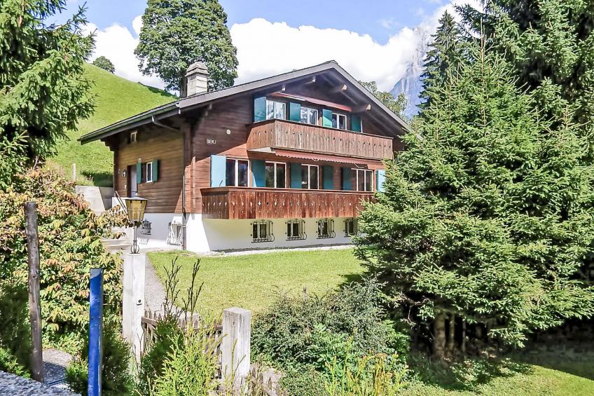 Chalet Bienli Oben - foto 22