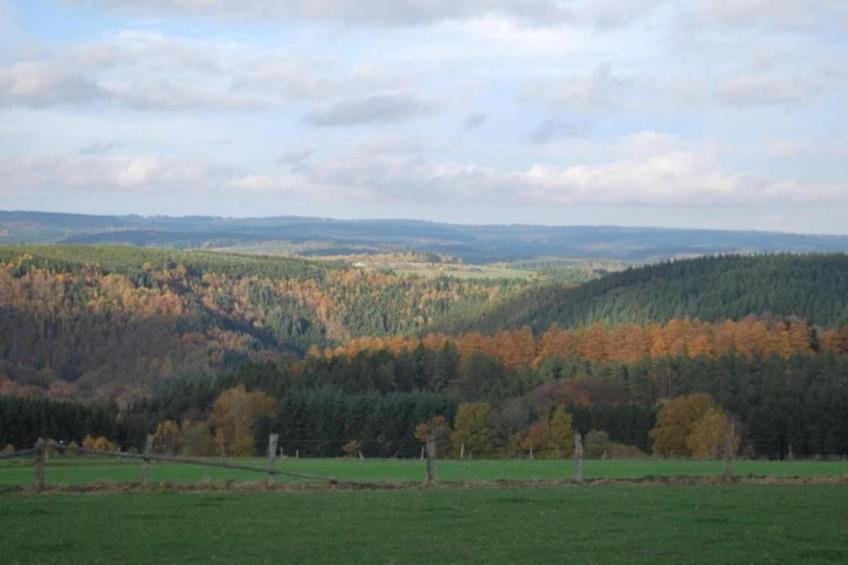 Petite Reine - foto 36