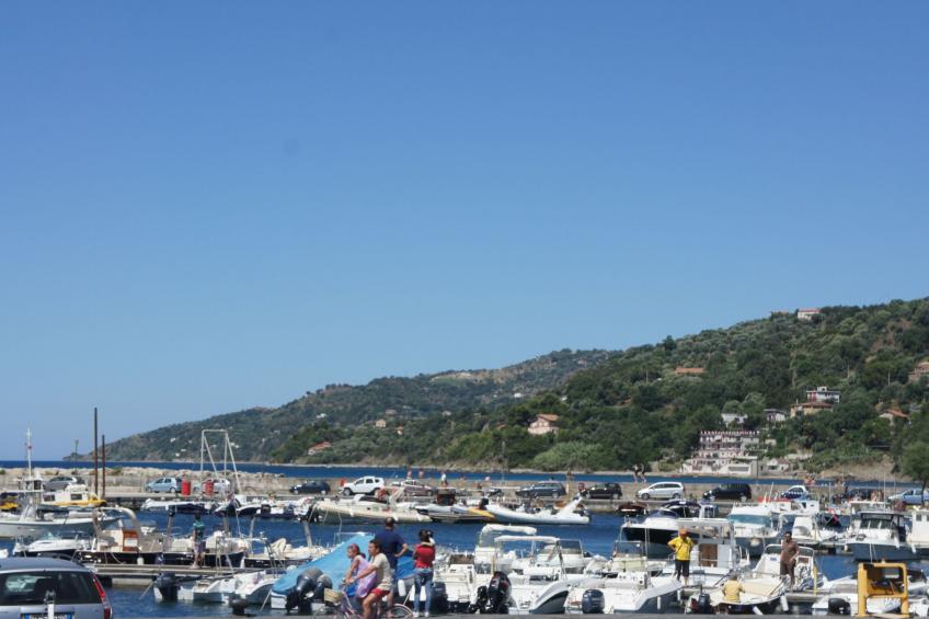 Casolare Olive - foto 24