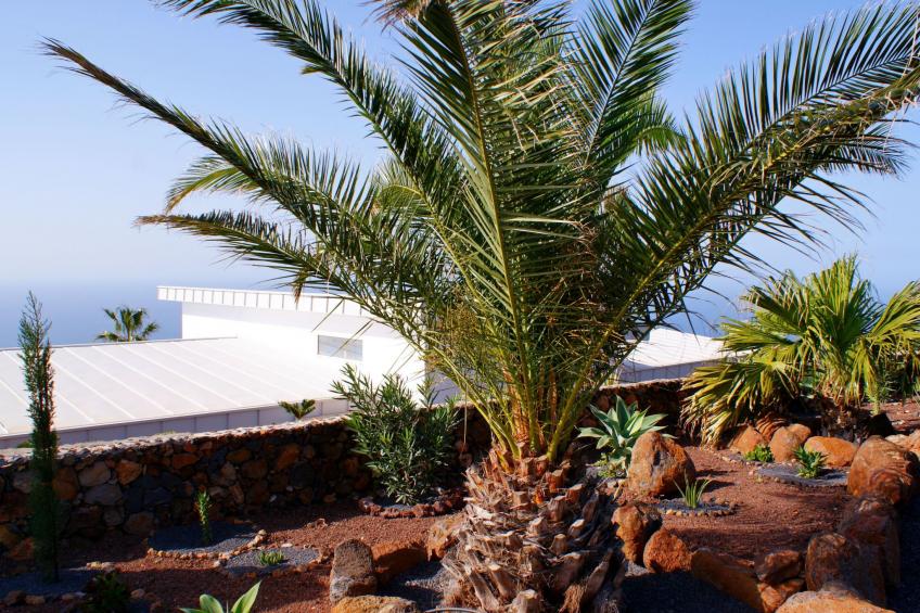 in Puntagorda mit Privatem Pool - foto 13