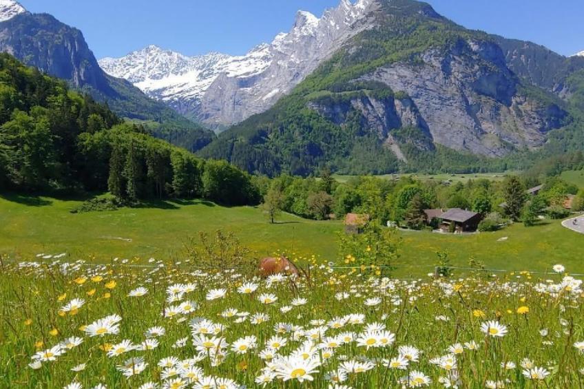 Ufem Egg Ferienhaus - foto 33