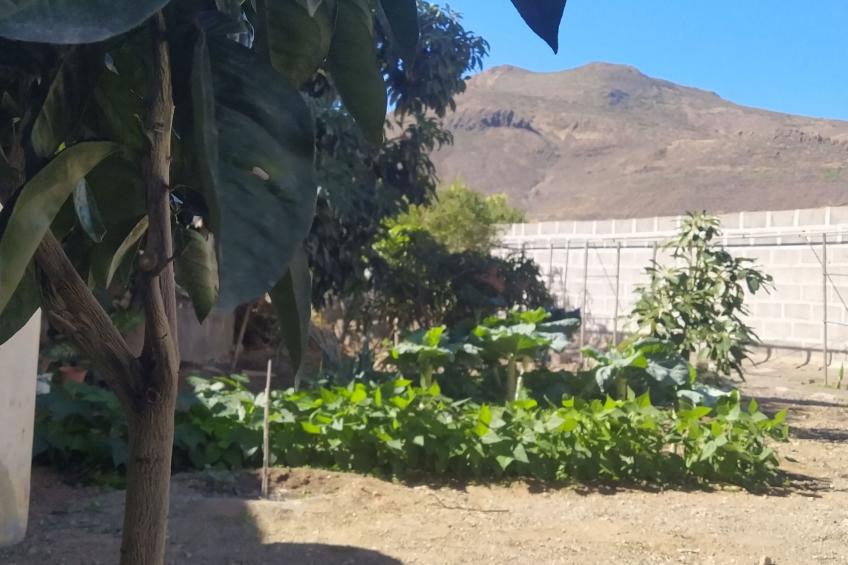 Edara Home - Haus mit privatem Garten - foto 3