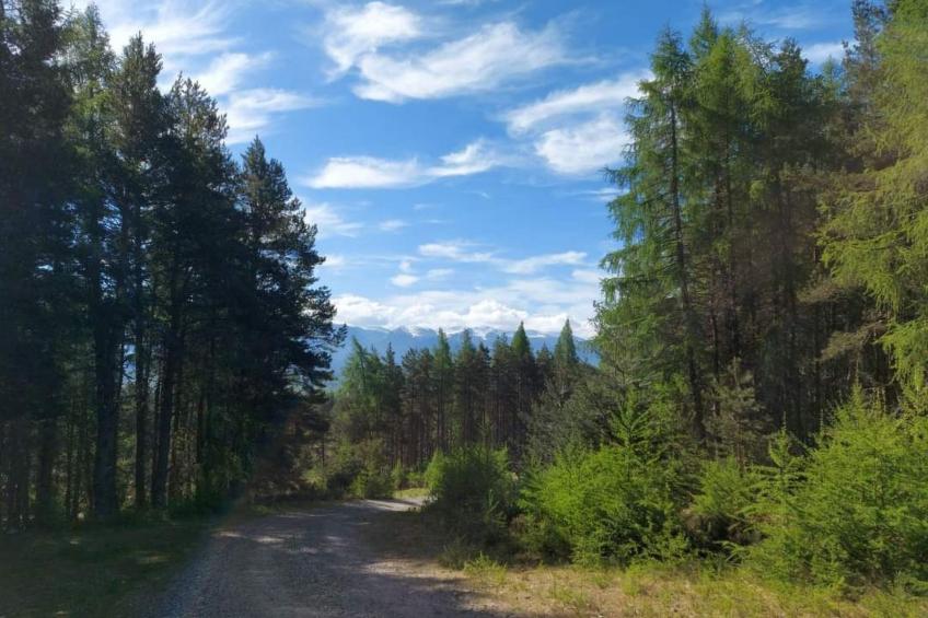 mit Garten im schottischen Hochland - foto 29