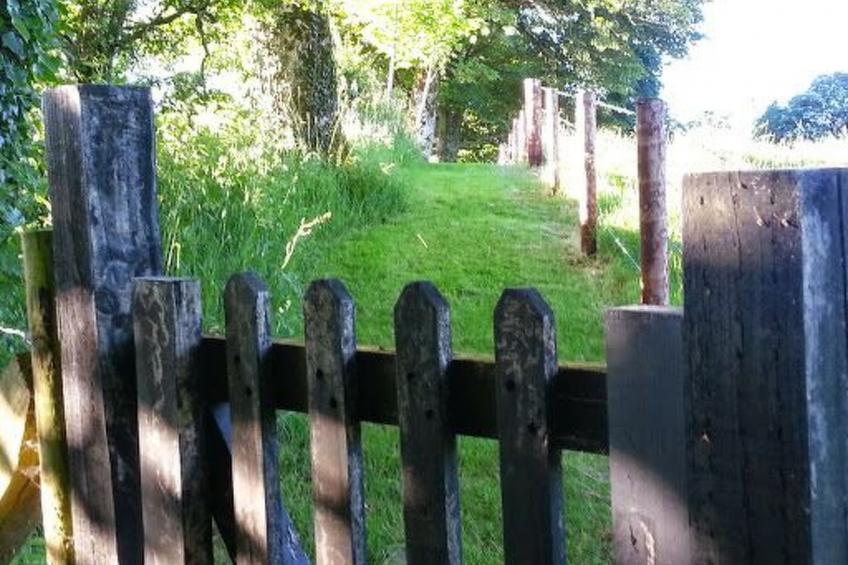 Cottage "James Tymon" mit Terrasse und Garten - foto 17