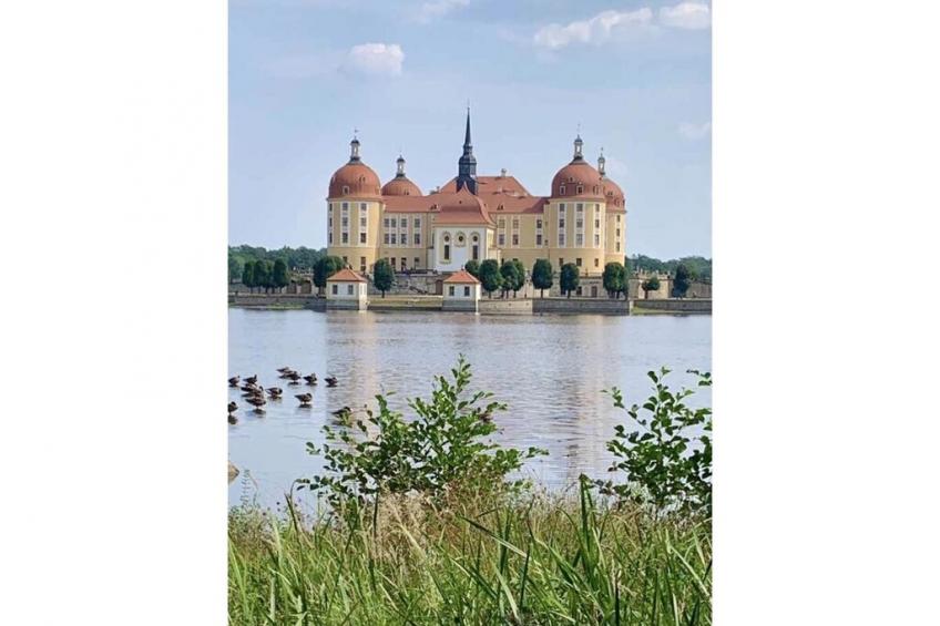 19931 - foto 37