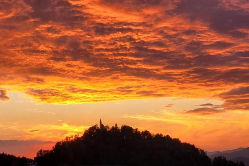 Gästehaus Kandlbinder - foto 32