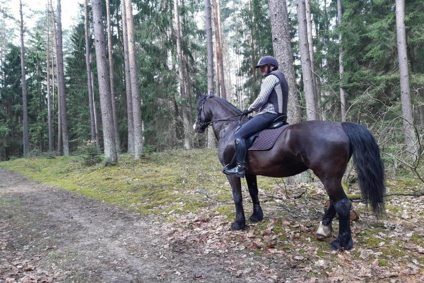 Dom wakacyjny dla max 11 osób w Pluskach - foto 29
