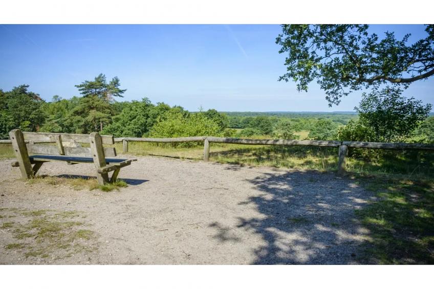 6 persoons Luxe Safaritent - foto 31