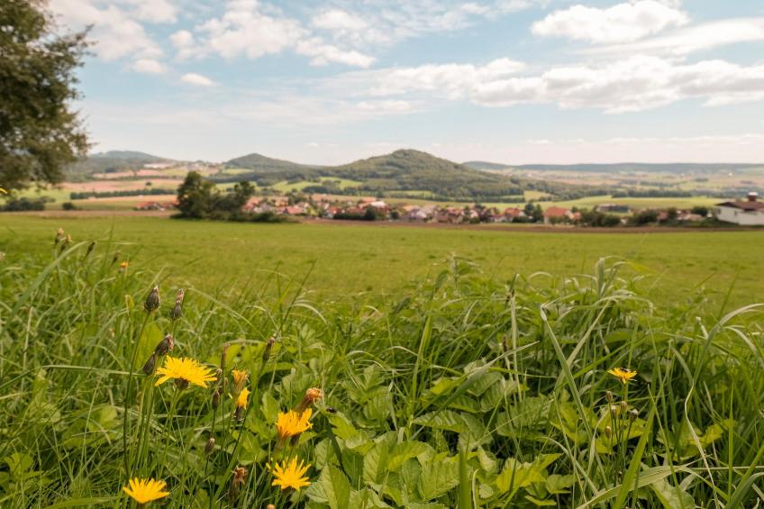 Fewo. Liebelt - foto 38