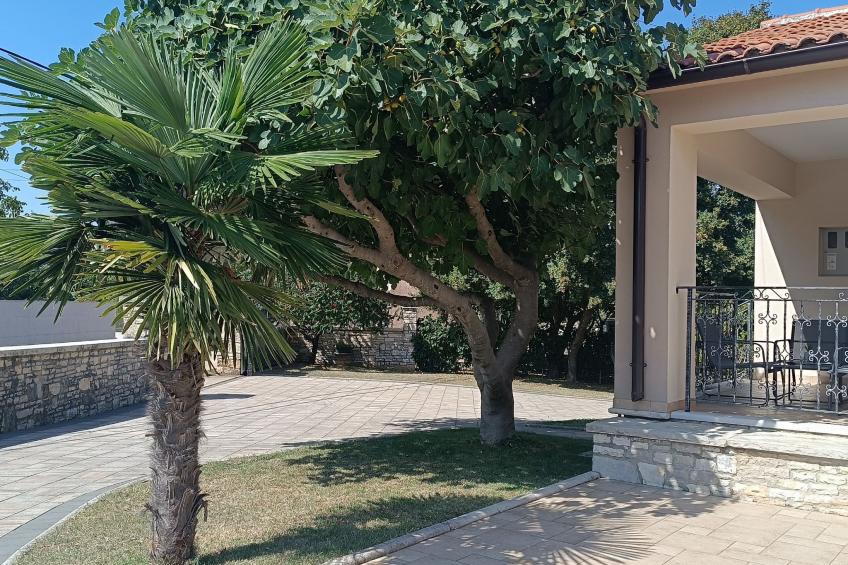 Villa Križanci - foto 13