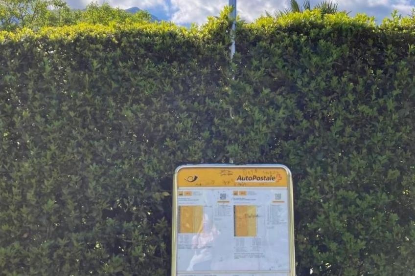 mit Bergblick - foto 55