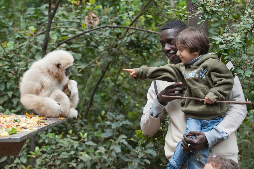 Estate Chalet 40 mit gemeinschaftlichem Pool, Südafrika - foto 46