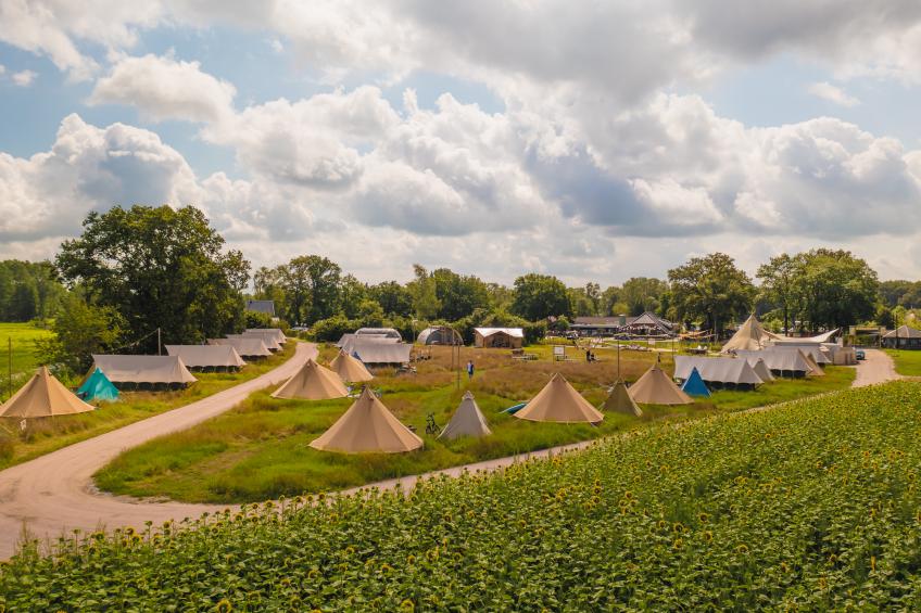 Pop-up glamping: Buurvrouws' Belltentje | 2-4 pers. - foto 5