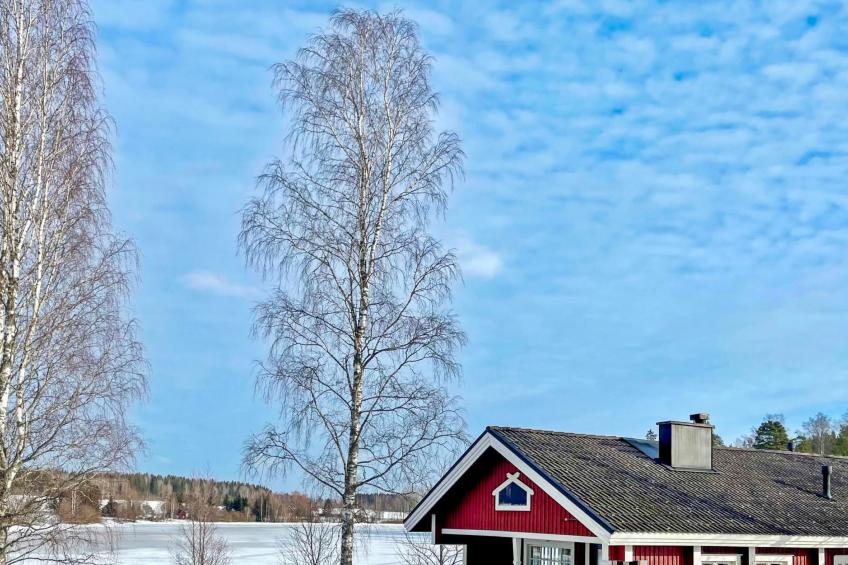 Peltosirkku, seeteri - foto 38