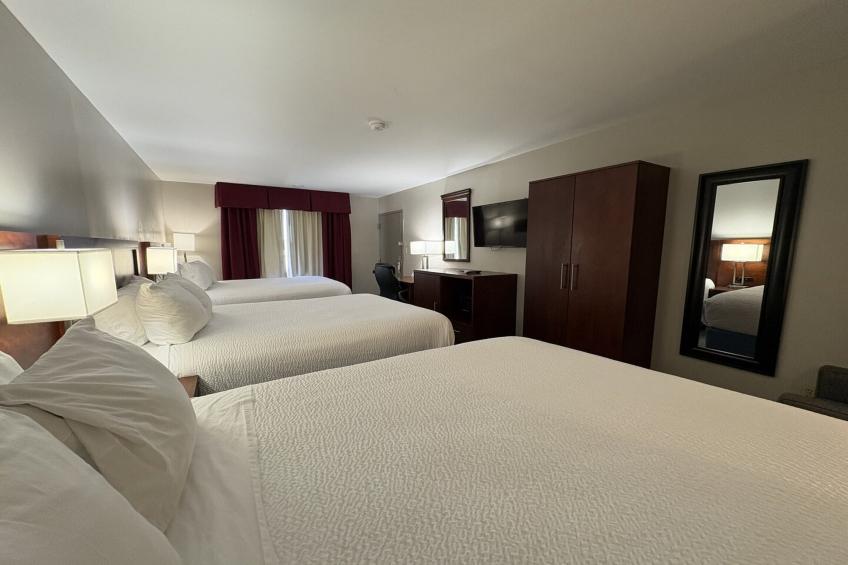1 Suite King Bed Smoking Jacuzzi Tub - foto 12
