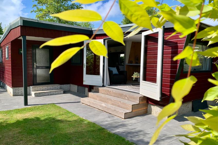 Campanula 211 - foto 6