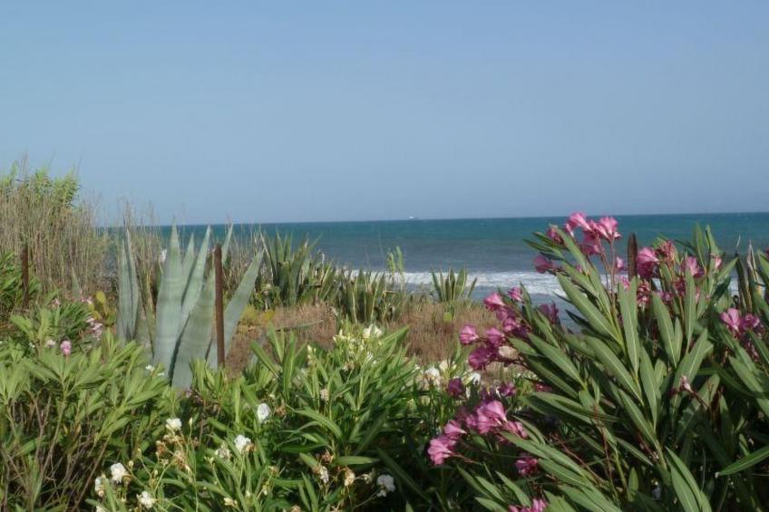 Villa Matilde: Kleine Ferienwohnung mit Meerblick - foto 26