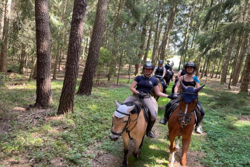 FERIENDORF SEEBLICK - Tiny Chalet am Eixendorfer See - foto 21