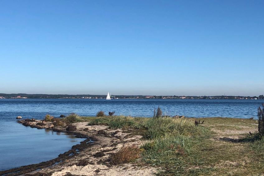 Ferienwohnung - foto 33