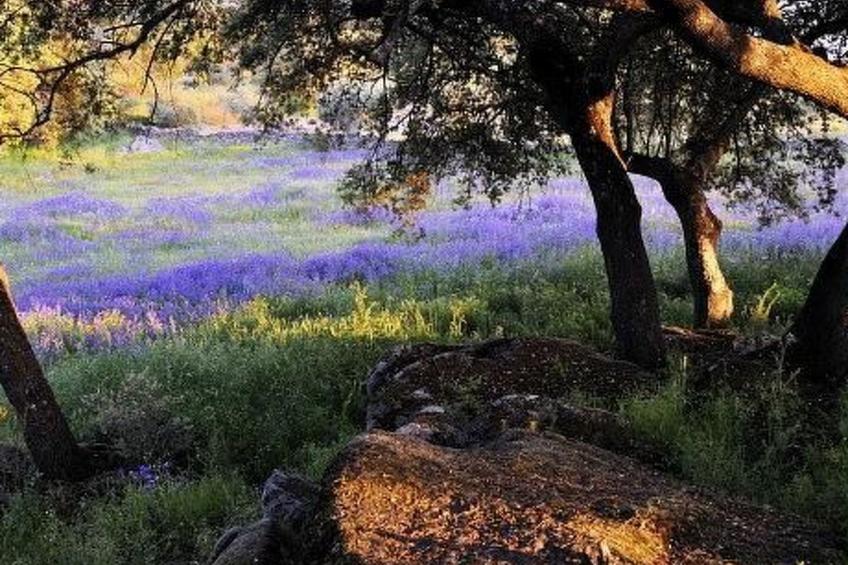 The Barn at Finca al-manzil - foto 7