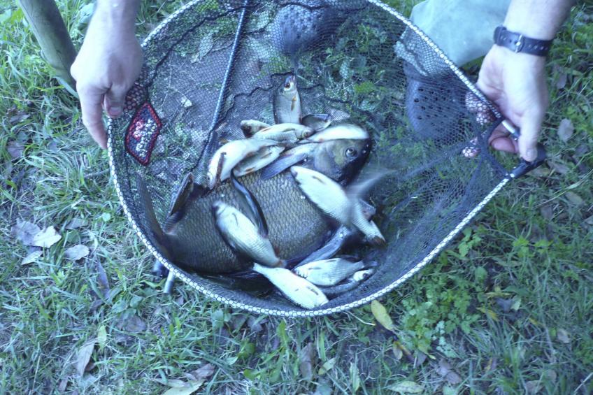 Fachwerkhaus "gitealienor perigord" - foto 50