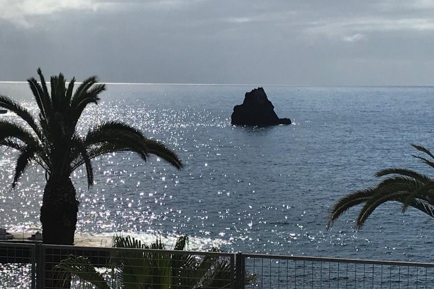 mit Blick auf das Wasser - foto 24