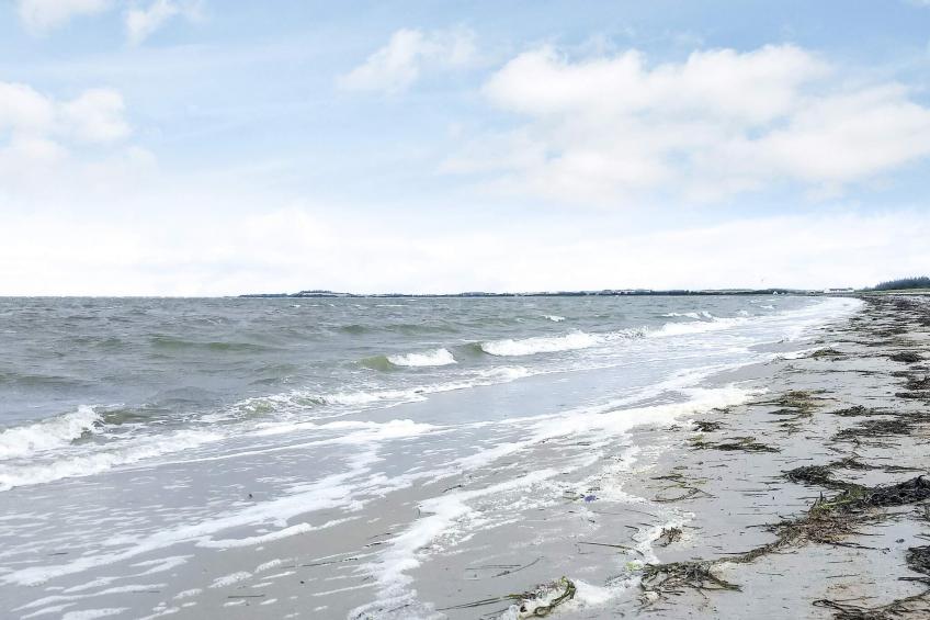 BF-GBRPV - foto 5