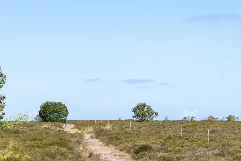 "Hrefna" - 350m from the sea in NE Jutland - foto 38