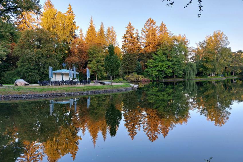 Bungalow mit Garten, Grill und Terrasse - foto 24