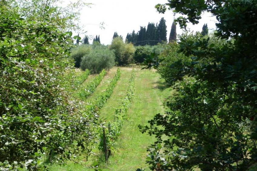 Villa Alice - foto 30