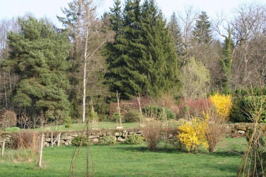 Maison de vacances - LA CHAPELLE-AUX-BOIS - foto 29