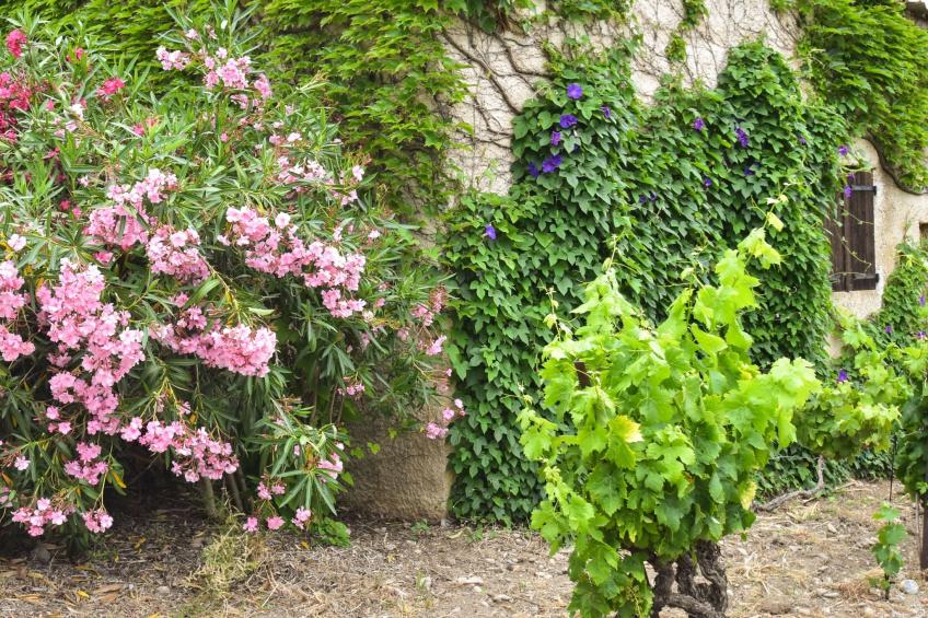 für 2 Personen und 2 Kinder - foto 20