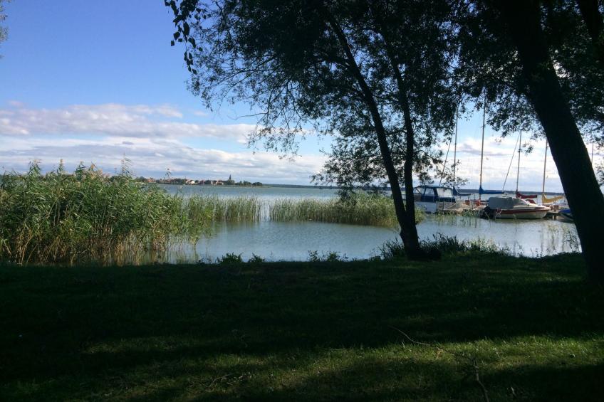 mit Garten, Grill und Terrasse - foto 43