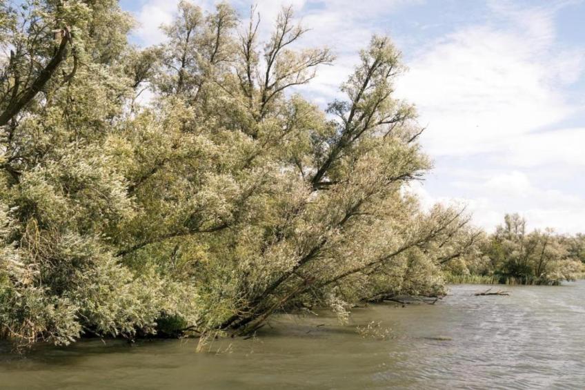 Vakantiepark de Katjeskelder 23 - foto 26