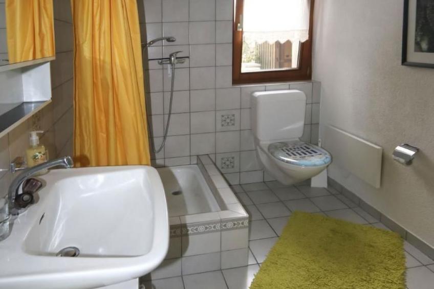 Panorama Blick - foto 6