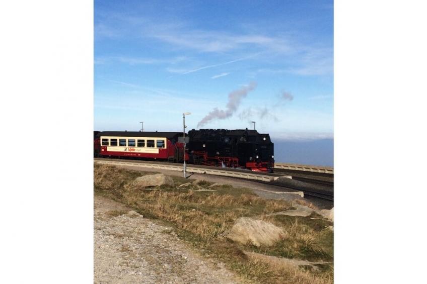 217460 - foto 20