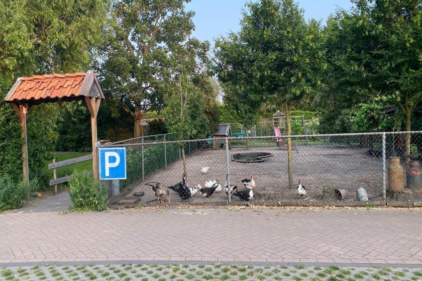 Pipowagen de Weideblick - foto 37