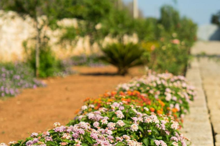 Wohnung 'Thyme' mit Privatparkplatz - foto 25