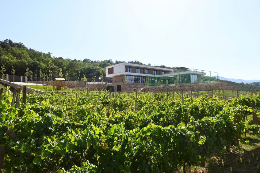 Villa Excelsior - foto 42