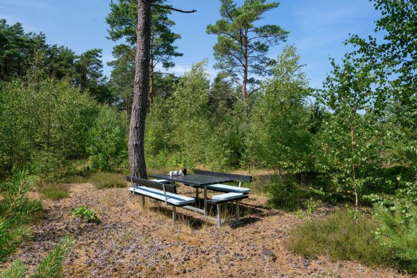 "Adelisa" - 600m from the sea in NE Jutland - foto 16