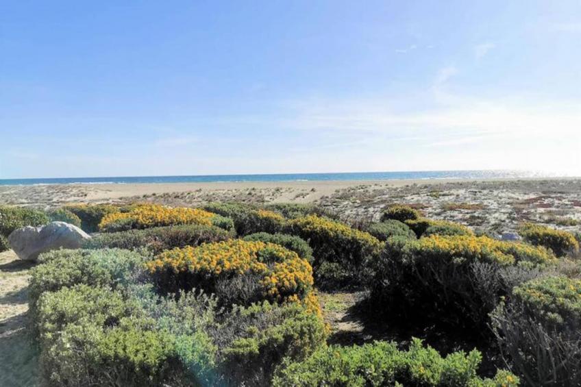 Résidence Maisons De La Mer 1 - foto 34