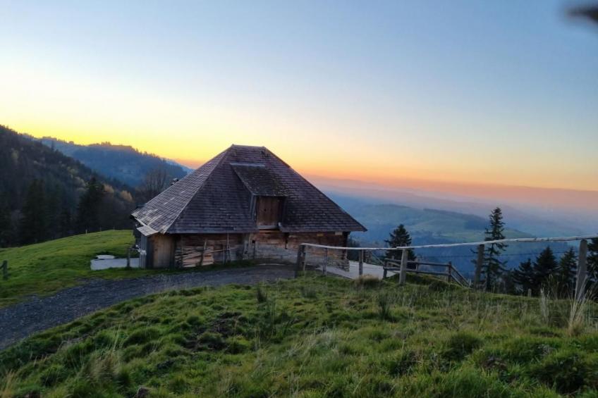 Bio-Hof Brudersrüti - foto 17