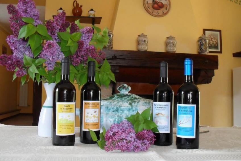 Wohnung im Agrotourismus in Bevagna - foto 11